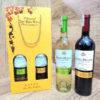 Rượu vang Chile Santo Molina trắng đỏ nhập khẩu chính hãng